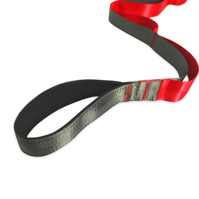 Exercise Strap Band
