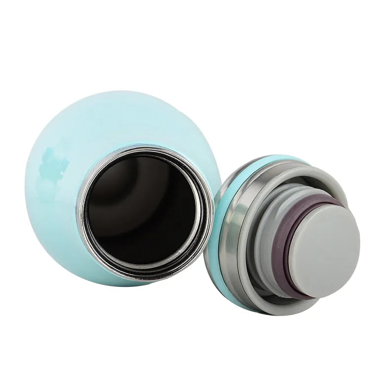 Double Wall Stainless Steel Water Bottle