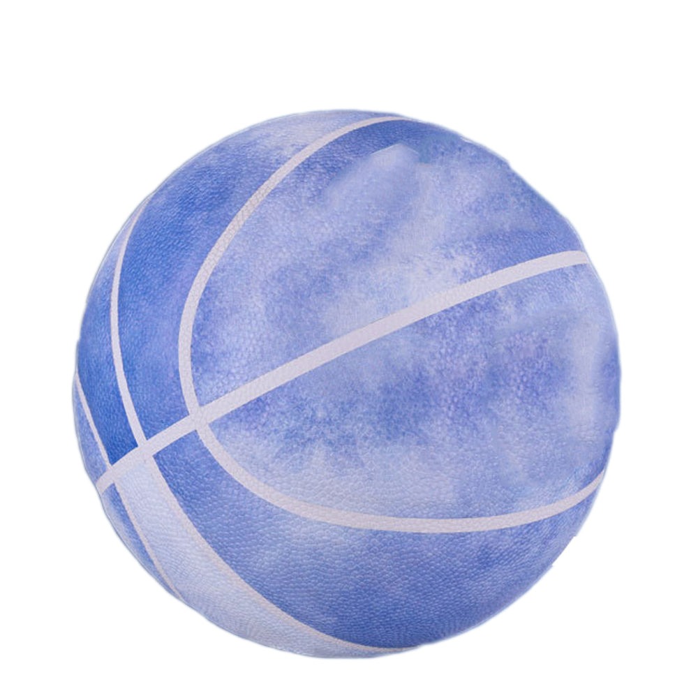 Professional basketball